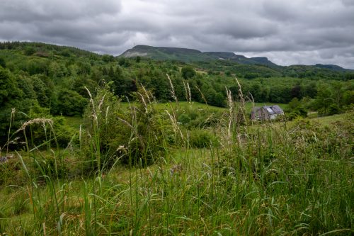 0003-Ireland-2026-8450