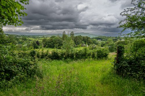 0011-Ireland-2026-8469