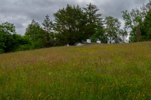 0012-Ireland-2026-8470