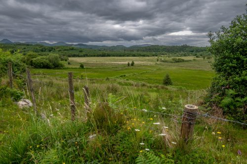 0016-Ireland-2026-8476