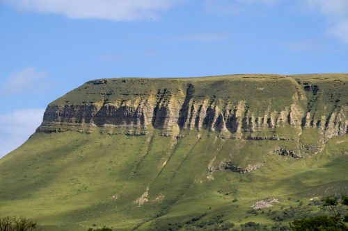 0037-Ireland-2026-8554