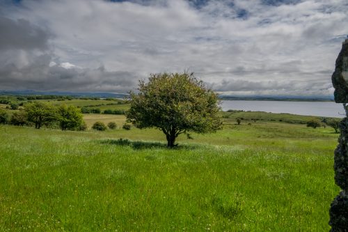 0088-Ireland-2026-8697