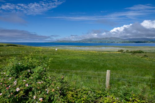 0093-Ireland-2026-8707