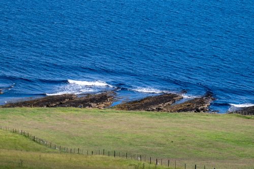 0117-Ireland-2026-8766
