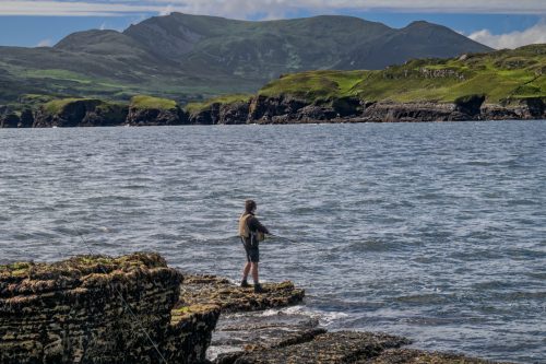 0124-Ireland-2026-8785