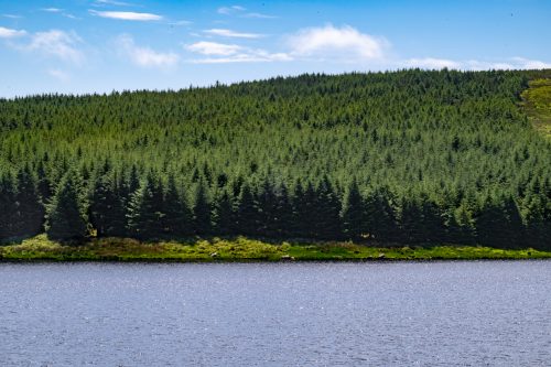 0169-Ireland-2026-8994
