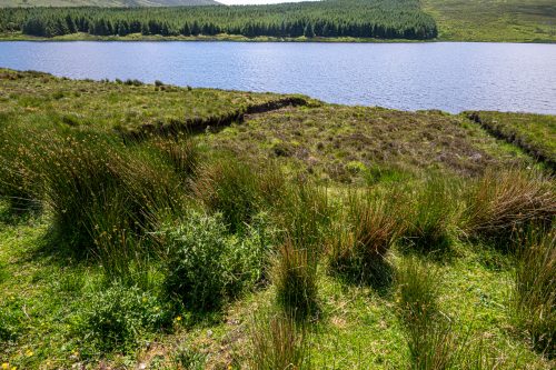 0170-Ireland-2026-8996
