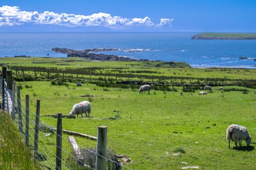 0173-Ireland-2026-9004
