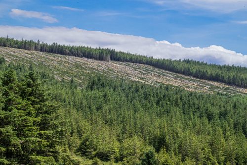 0209-Ireland-2026-9147