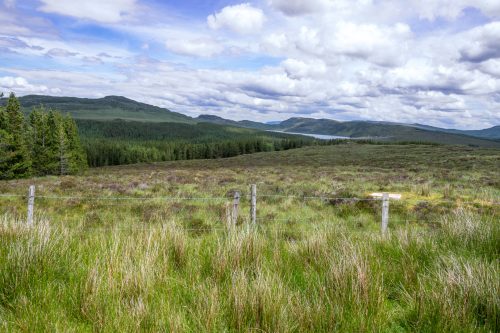 0211-Ireland-2026-9149