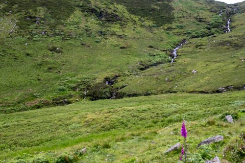 0215-Ireland-2026-9169