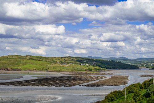 0225-Ireland-2026-9221