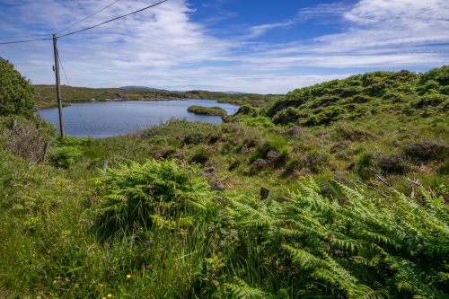 0248-Ireland-2026-9307