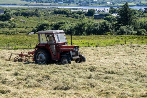 0257-Ireland-2026-9351