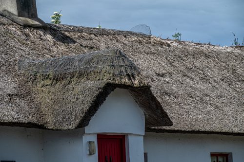 0275-Ireland-2026-9436