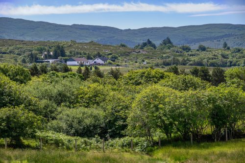 0276-Ireland-2026-9439