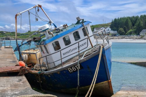 0294-Ireland-2026-9541
