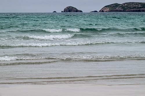 0300-Ireland-2026-9588