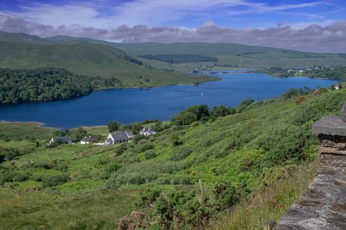 0311-Ireland-2026-9637