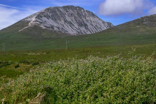 0313-Ireland-2026-9645