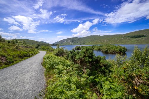 0318-Ireland-2026-9682