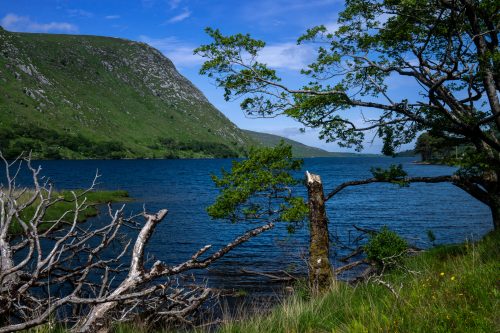 0332-Ireland-2026-9725
