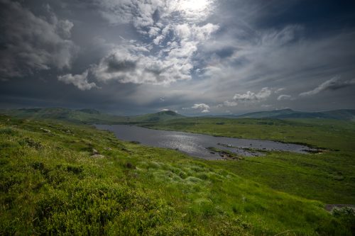 0336-Ireland-2026-9752