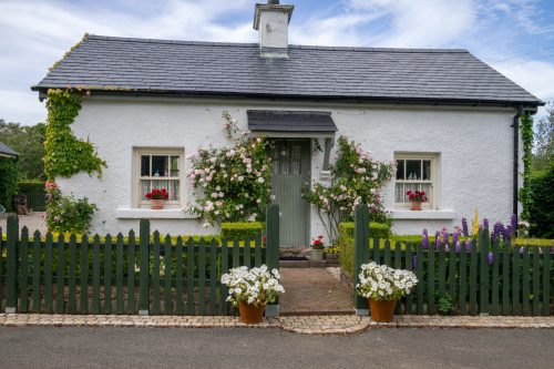 0338-Ireland-2026-9757