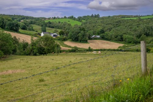 0339-Ireland-2026-9759