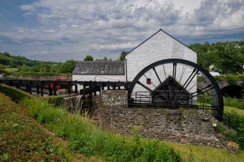 0356-Ireland-2026-9837