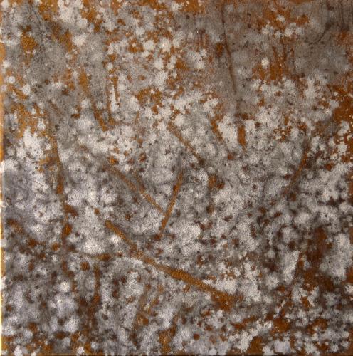 Bucher Print 006
