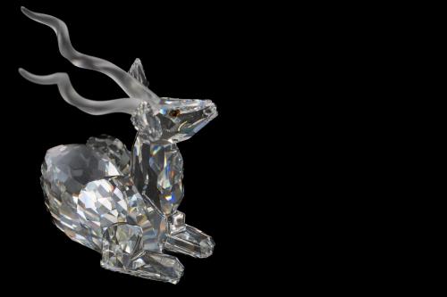 043-Brocki-2025