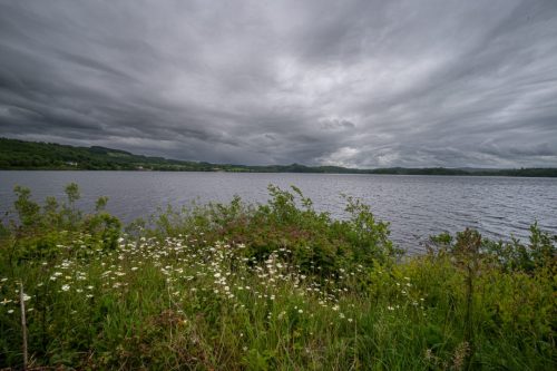 0005-Ireland-2026-8458