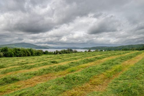 0010-Ireland-2026-8467