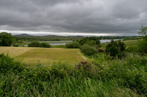 0055-Ireland-2026-8612