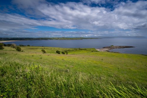 0115-Ireland-2026-8760