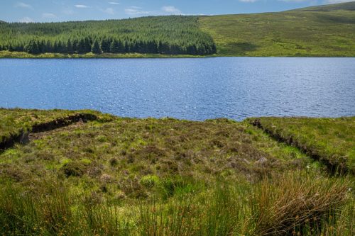 0168-Ireland-2026-8993