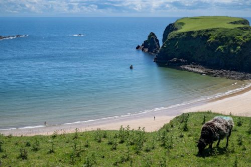 0174-Ireland-2026-9011