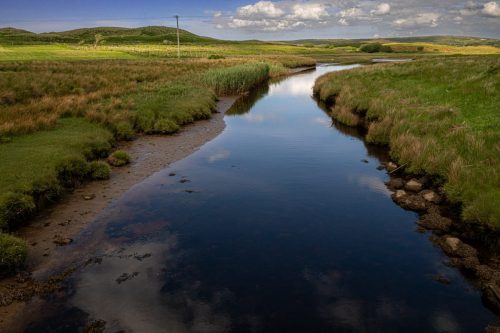 0218-Ireland-2026-9176