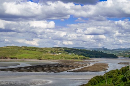 0225-Ireland-2026-9221