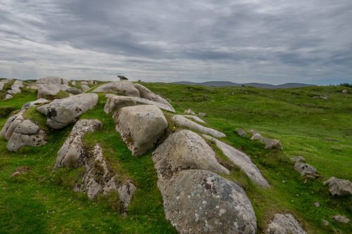 0233-Ireland-2026-9240