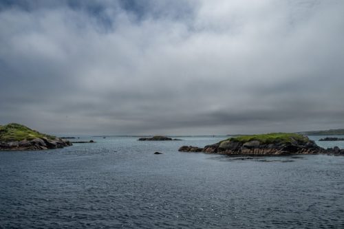 0296-Ireland-2026-9564