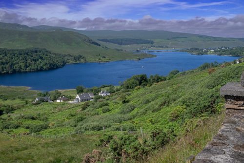 0311-Ireland-2026-9637