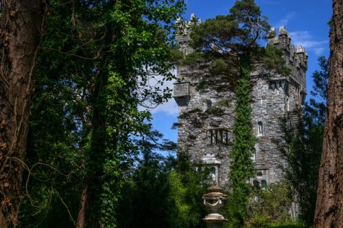 0329-Ireland-2026-9716