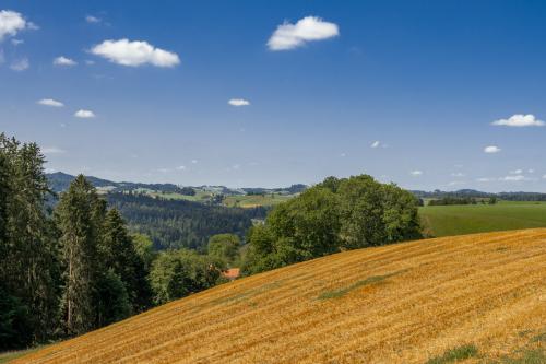 100-Emmental-2022-271
