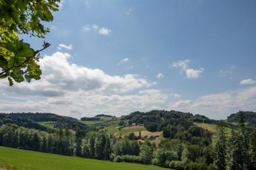 104-Emmental-2022-102