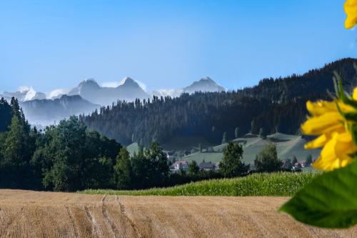 116a-Emmental-2022-210-Bearbeitet-Bearbeitet