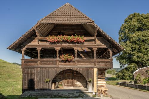 119-Emmental-2022-208