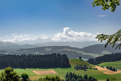 121-Emmental-2022-198