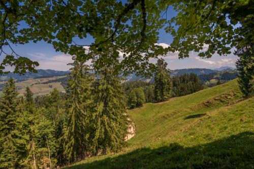 124-Emmental-2022-171